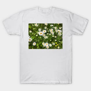 Daisies, just Daisies T-Shirt